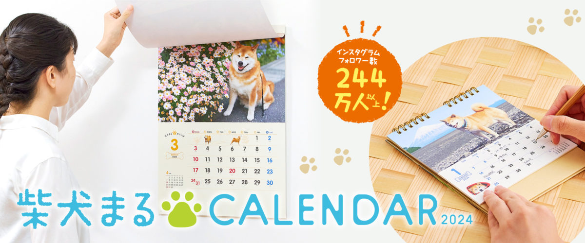 毎年大人気!柴犬まるのカレンダー