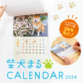 毎年大人気！柴犬まるのカレンダー